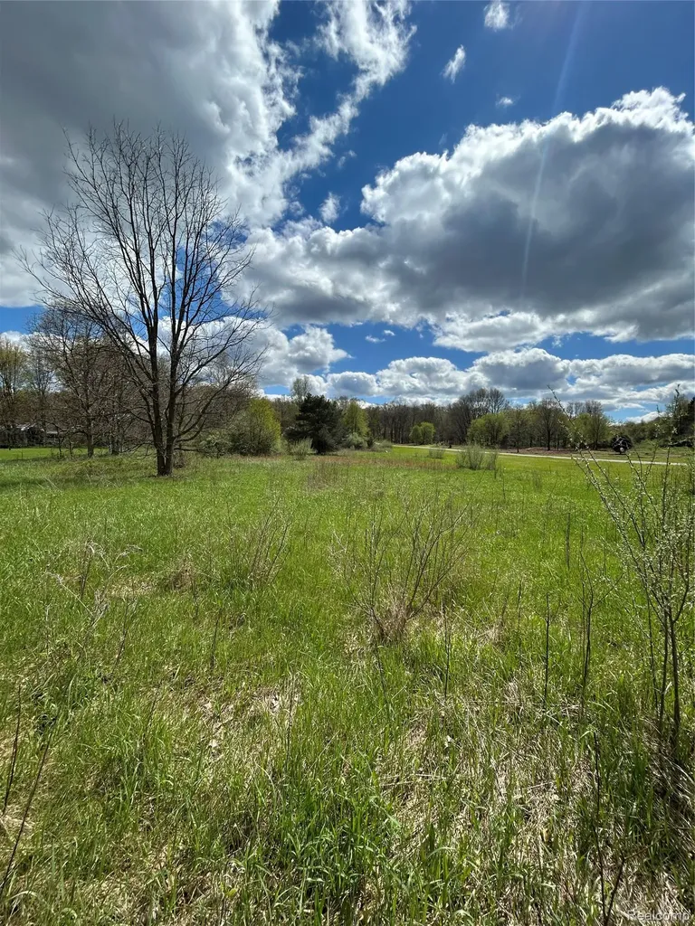 Parcel 2 E Coon Lake Road Genoa Township MI 48843