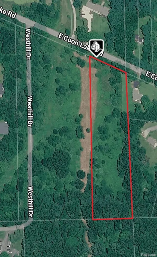 Parcel 2 E Coon Lake Road Genoa Township MI 48843