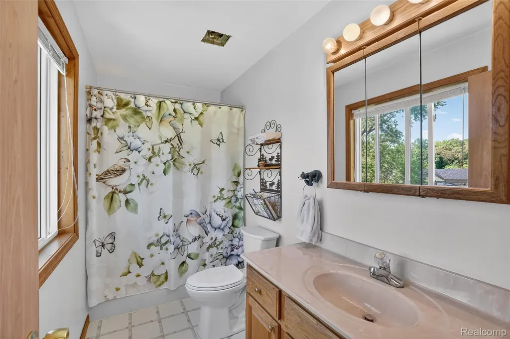 7166 Alpine Drive Argentine Township MI 48451