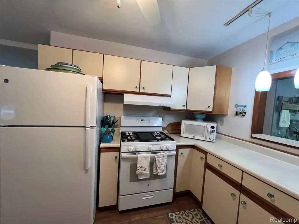 9058 W Chippewa Trail Benona Township MI 49455