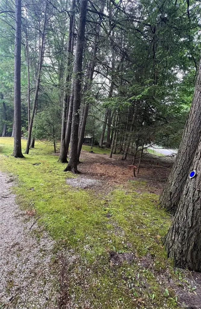 9058 W Chippewa Trail Benona Township MI 49455