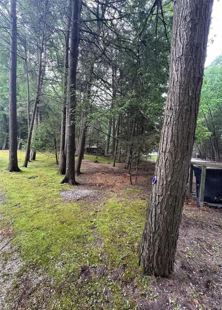 9058 W Chippewa Trail Benona Township MI 49455