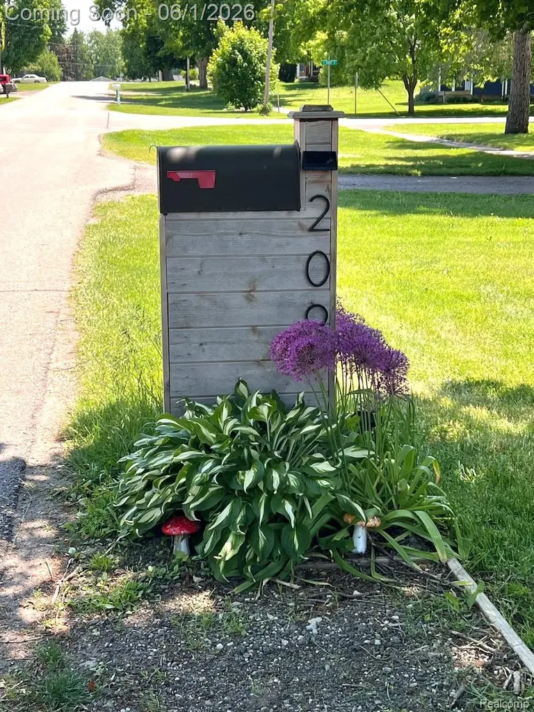 209 Main Street Morrice Village MI 48857