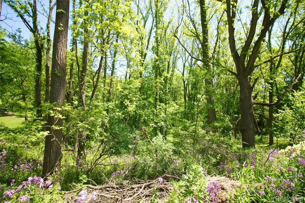 8372 Parshallville Road Hartland Township MI 48430