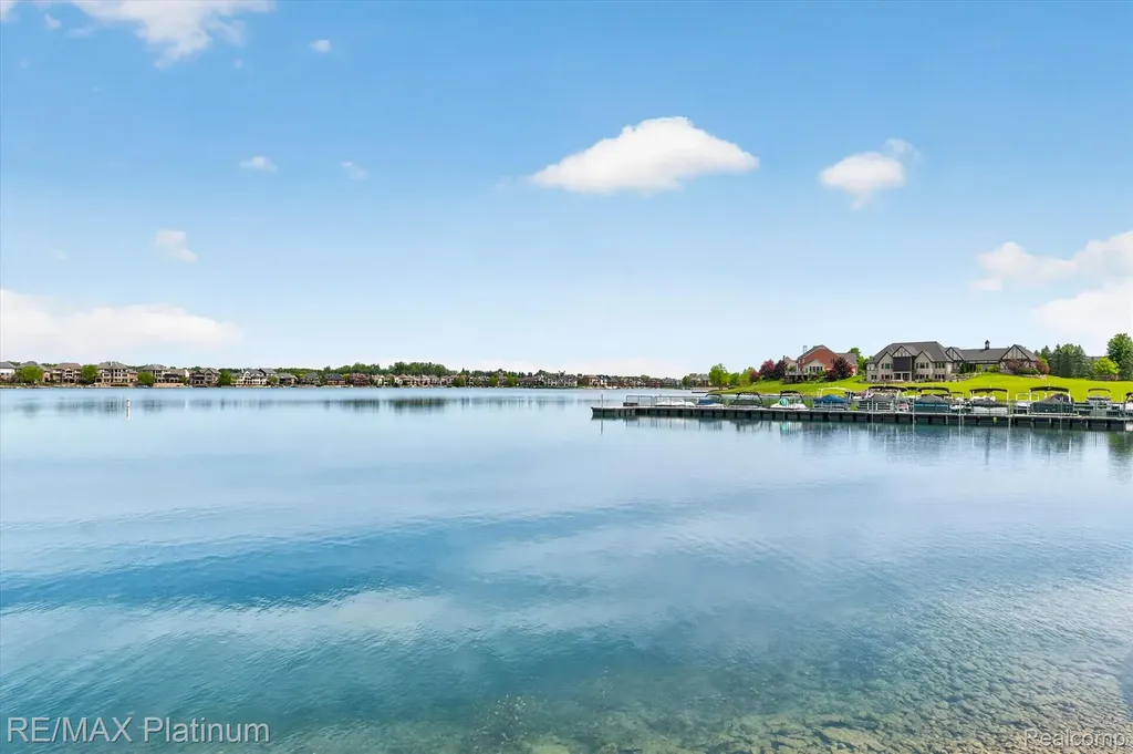 10653 Stoney Point Drive Green Oak Township MI 48178