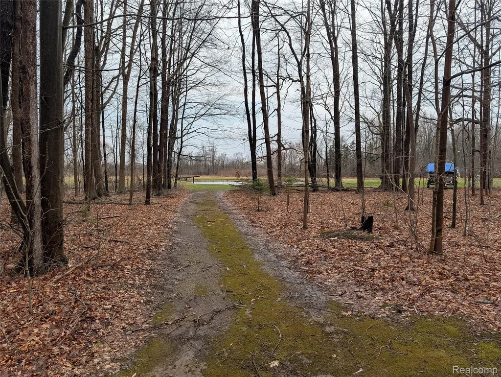 9345 Weber Road Columbus Township MI 48063