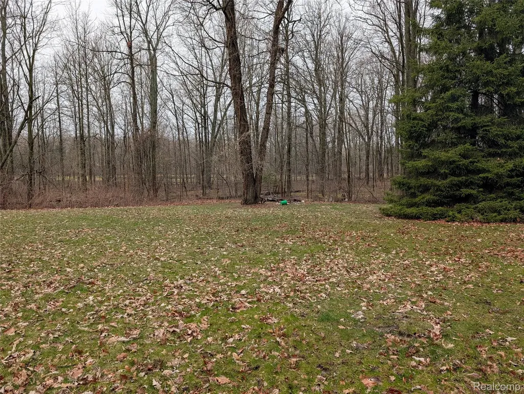 9345 Weber Road Columbus Township MI 48063