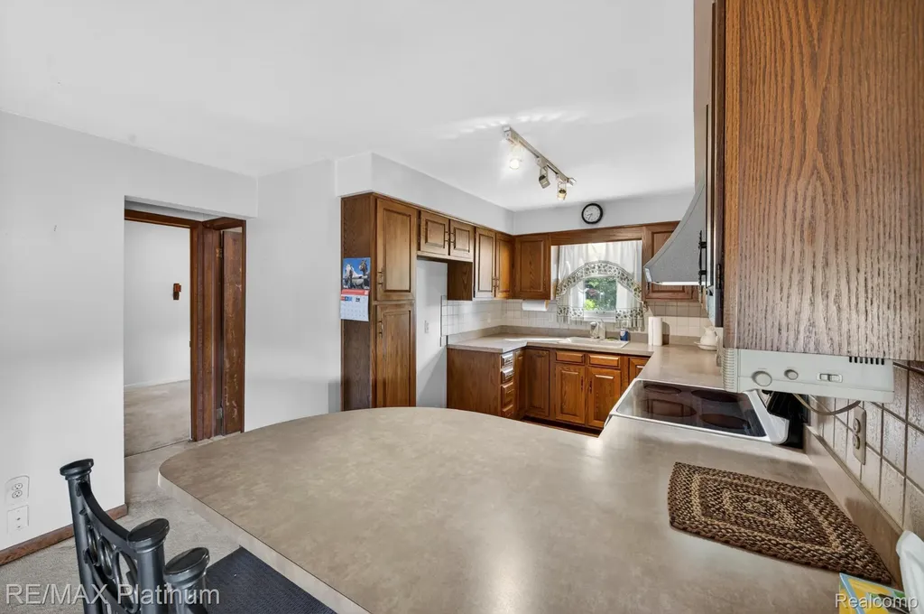 1464 Clark Lake Road Brighton Township MI 48114