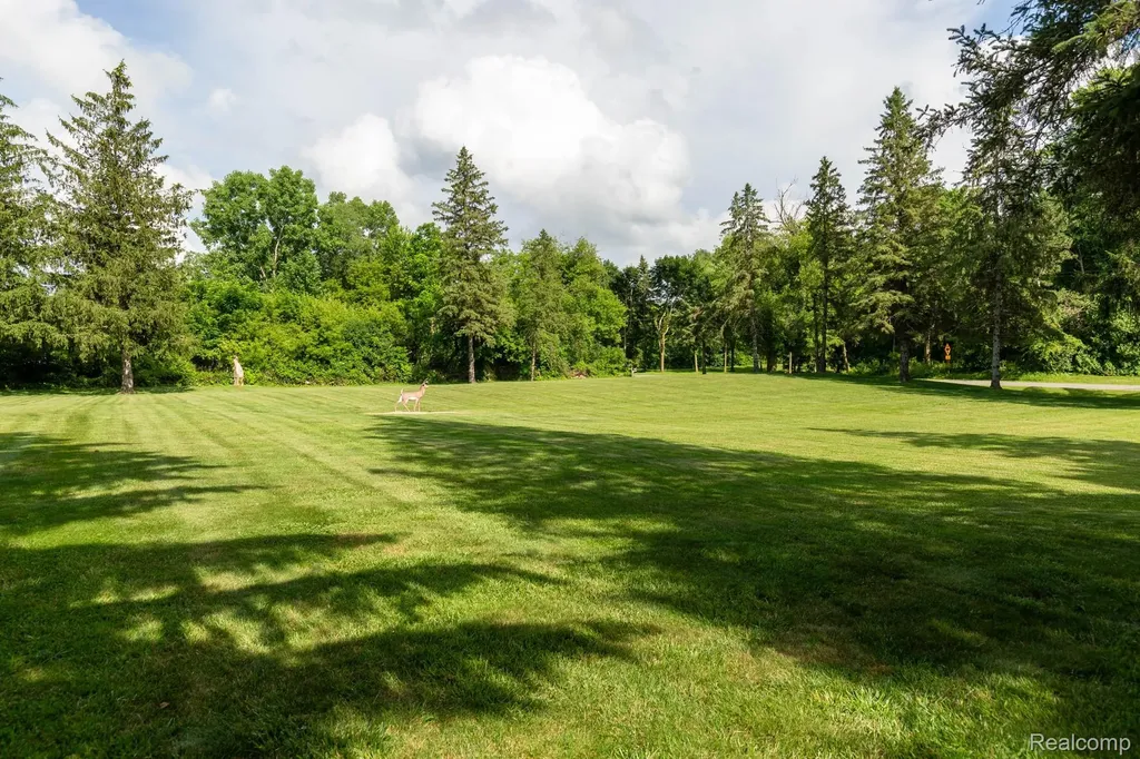 9026 Woodside Road Salem Township MI 48167