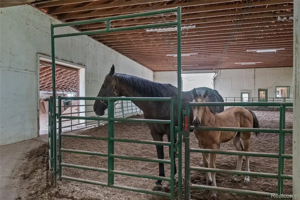 5095 Casey Road Dryden Township MI 48428