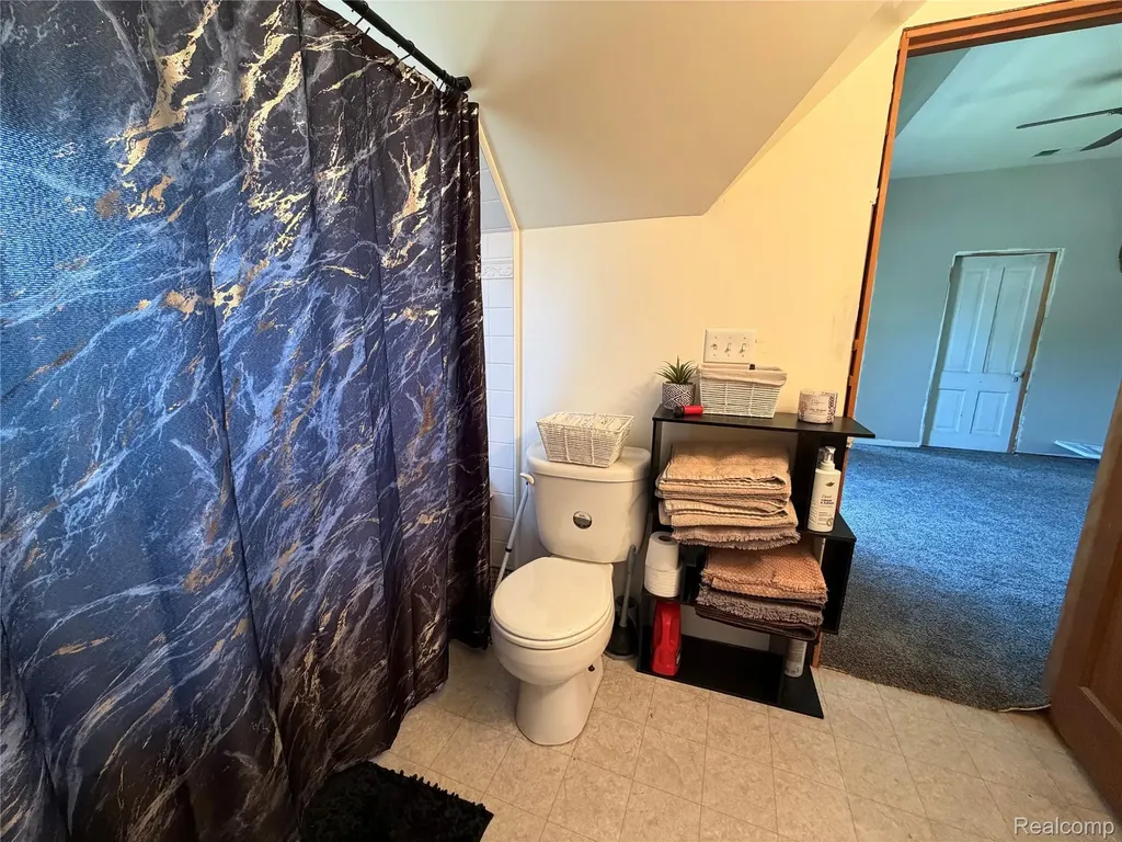 208 E Mill Street Capac Village MI 48014