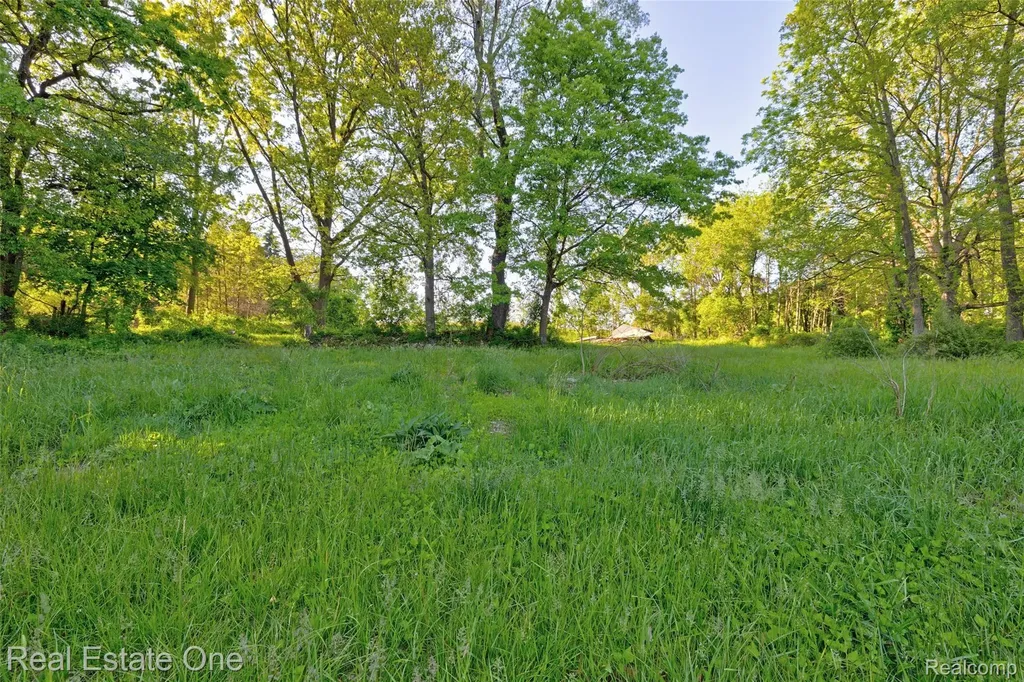 4161 Seymour Lake Road Brandon Charter Township MI 48371