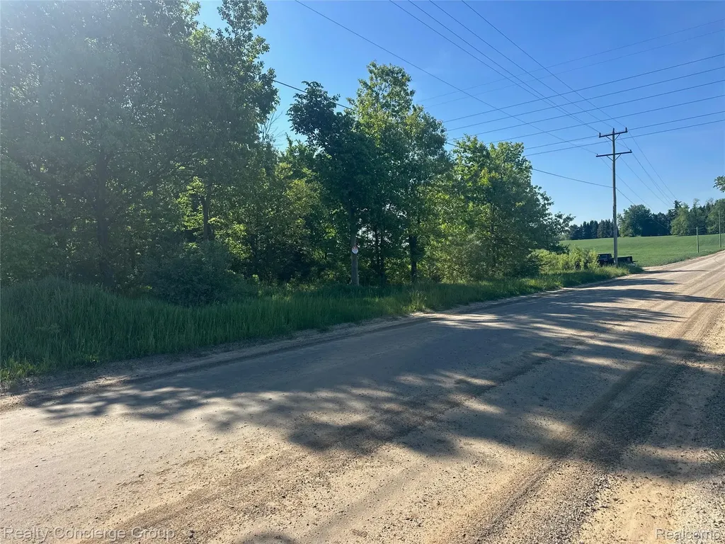 2681 Fisk Road Genoa Township MI 48843