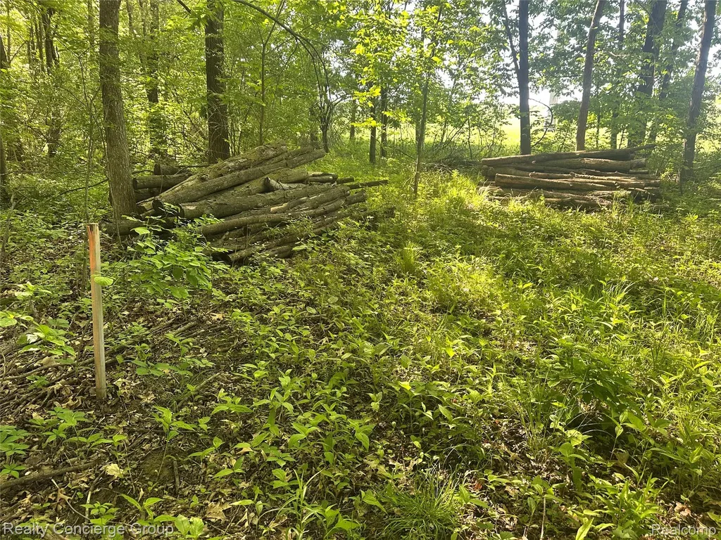 2681 Fisk Road Genoa Township MI 48843