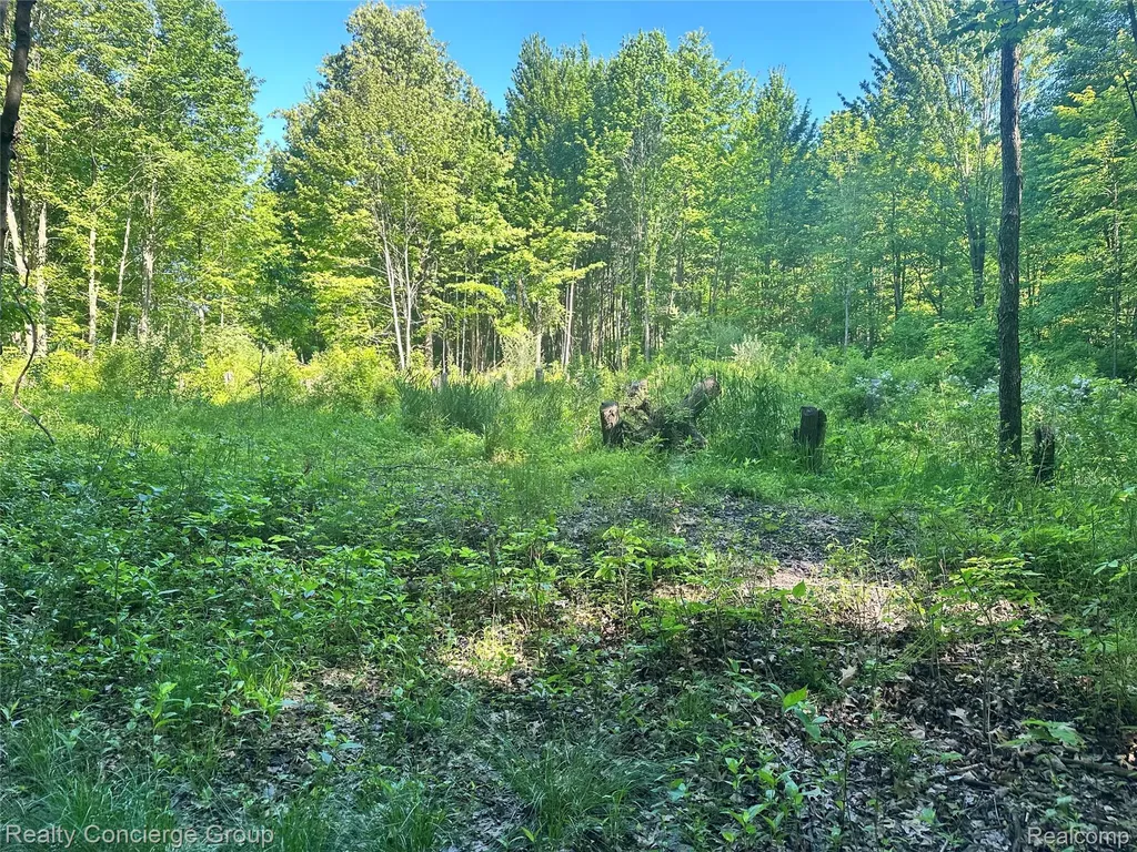 2681 Fisk Road Genoa Township MI 48843
