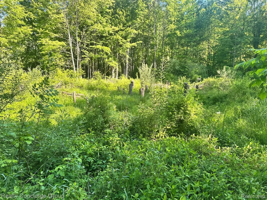 2681 Fisk Road Genoa Township MI 48843