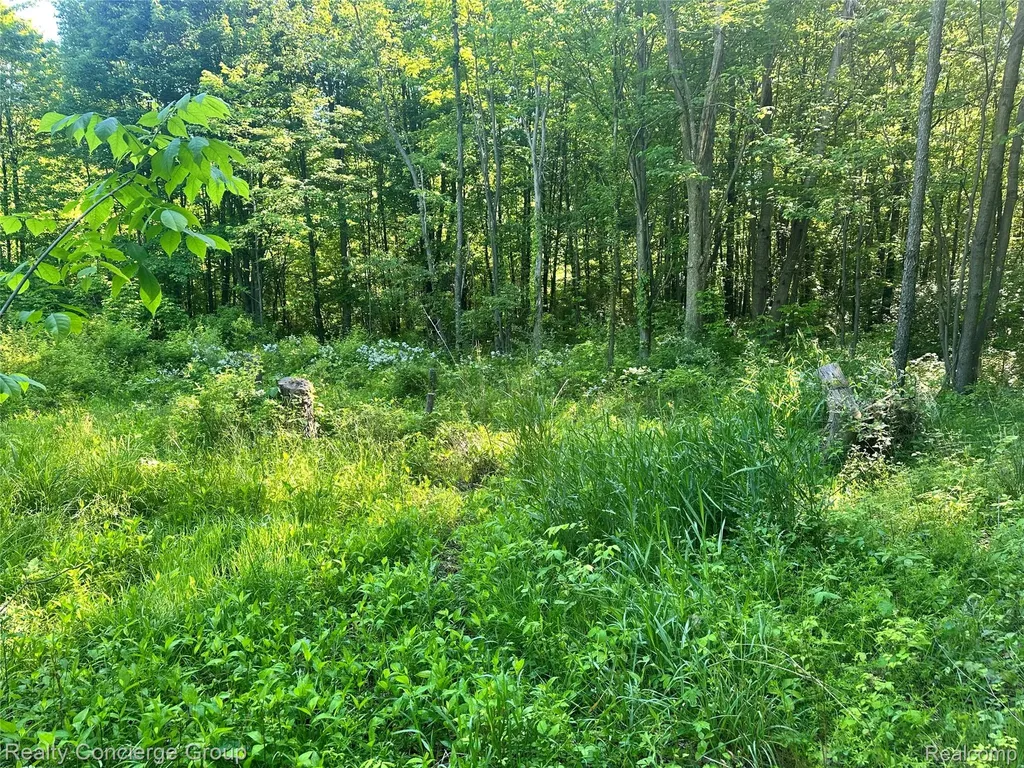 2681 Fisk Road Genoa Township MI 48843