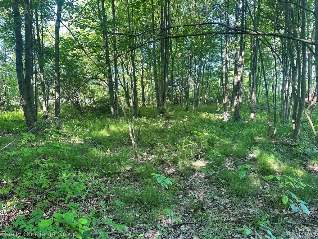 2681 Fisk Road Genoa Township MI 48843
