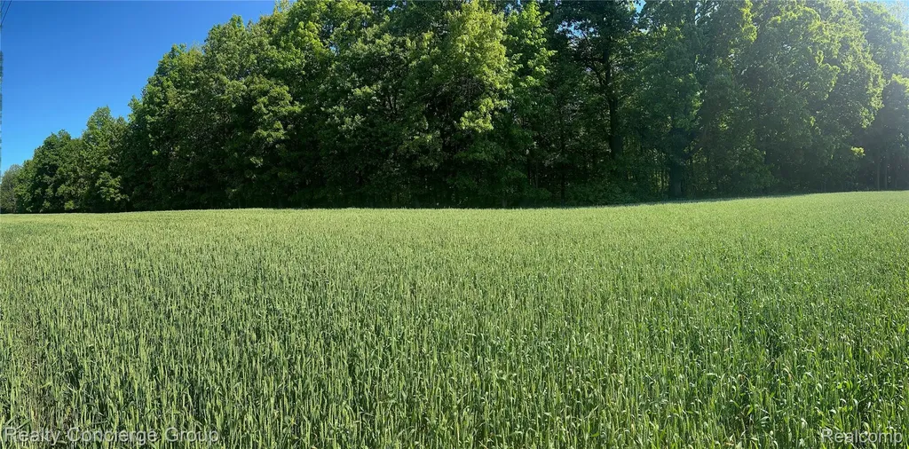 2681 Fisk Road Genoa Township MI 48843