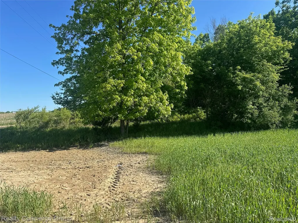 2681 Fisk Road Genoa Township MI 48843