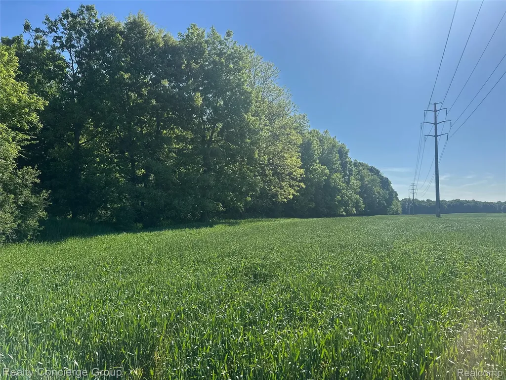2681 Fisk Road Genoa Township MI 48843