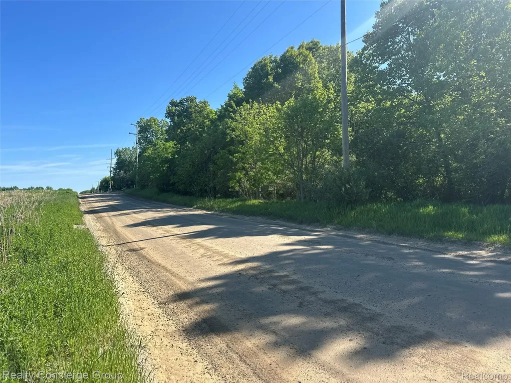 2681 Fisk Road Genoa Township MI 48843