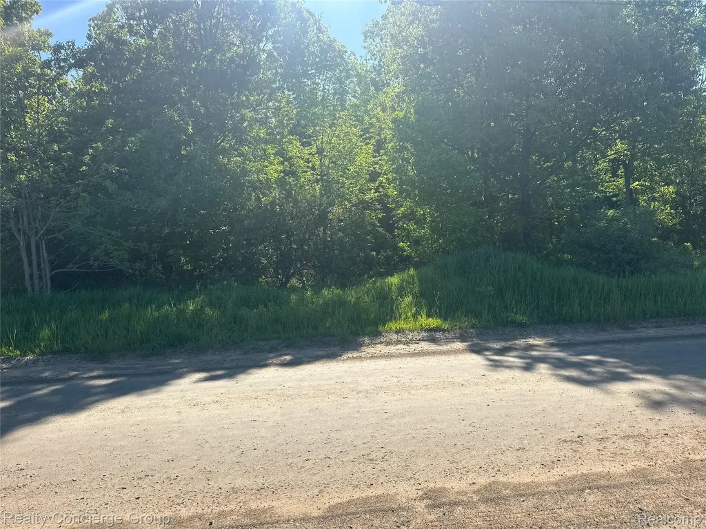2681 Fisk Road Genoa Township MI 48843