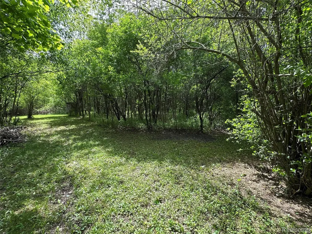 6161 River Road Flushing City MI 48433