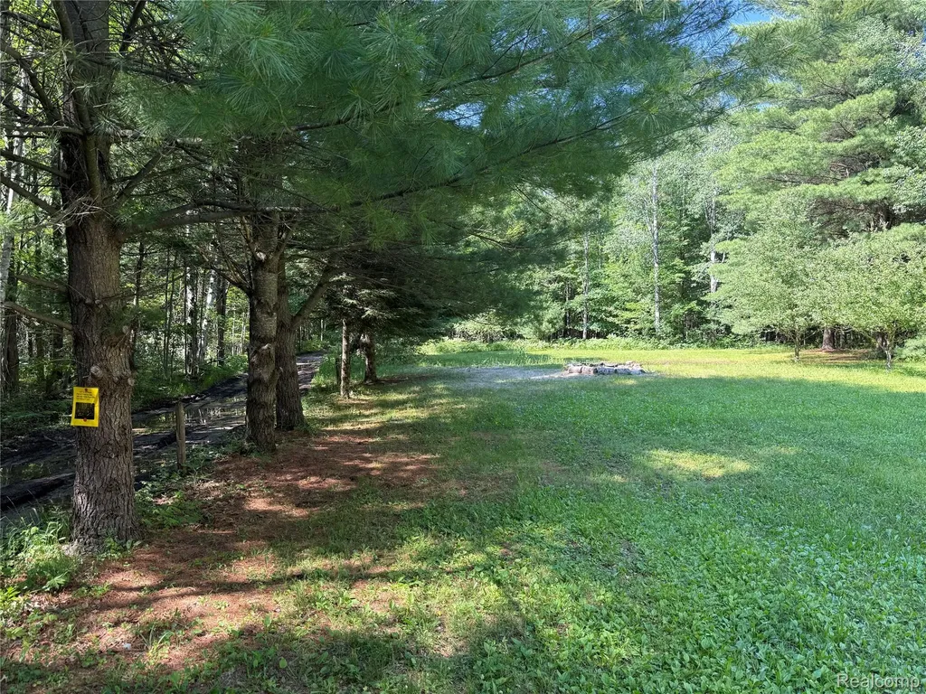 1501 Michael Drive Mills Township MI 48610