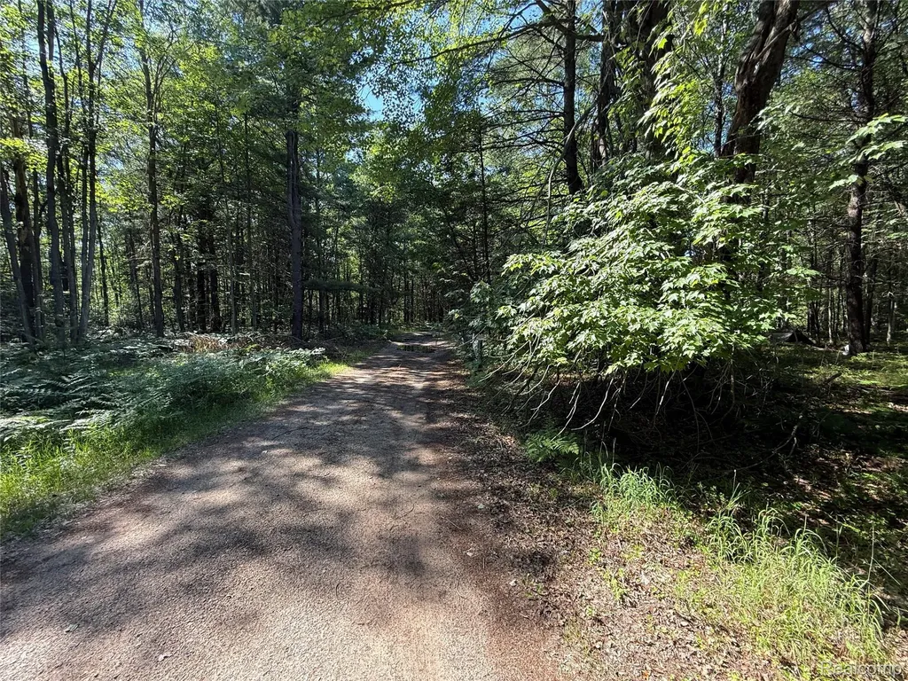 1501 Michael Drive Mills Township MI 48610