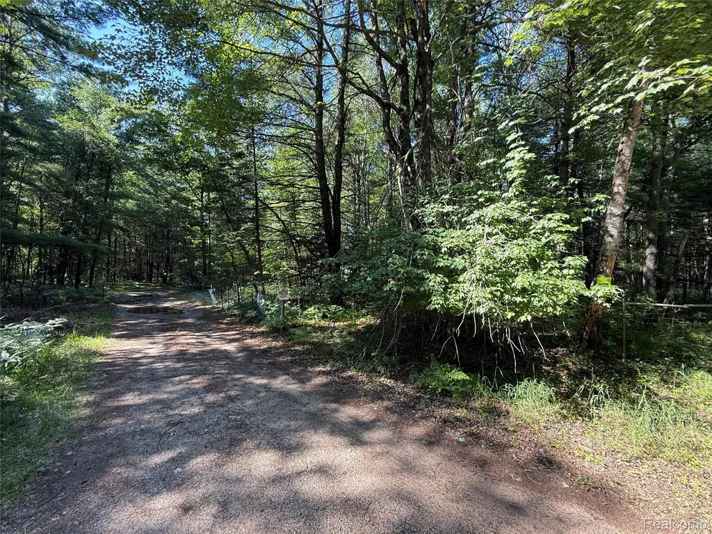 1501 Michael Drive Mills Township MI 48610