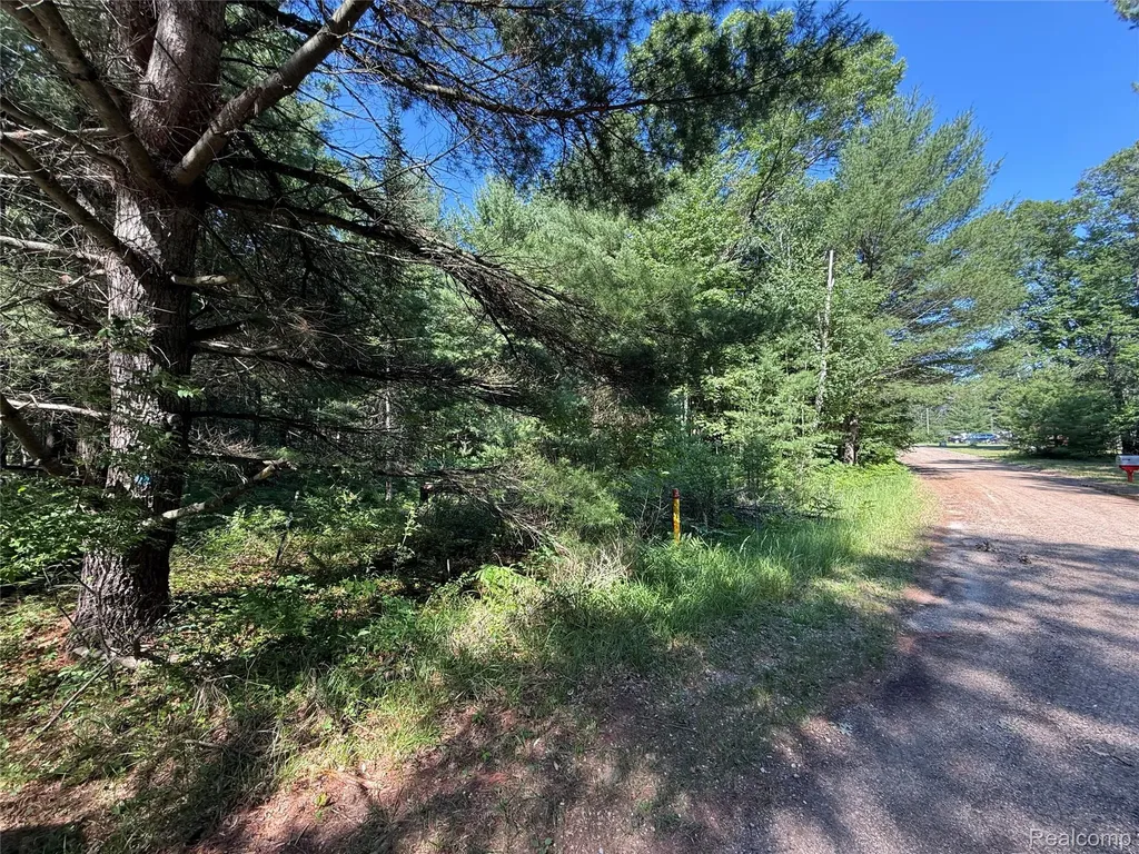 1501 Michael Drive Mills Township MI 48610
