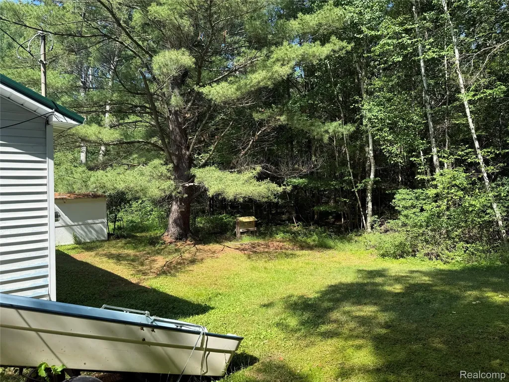 1501 Michael Drive Mills Township MI 48610
