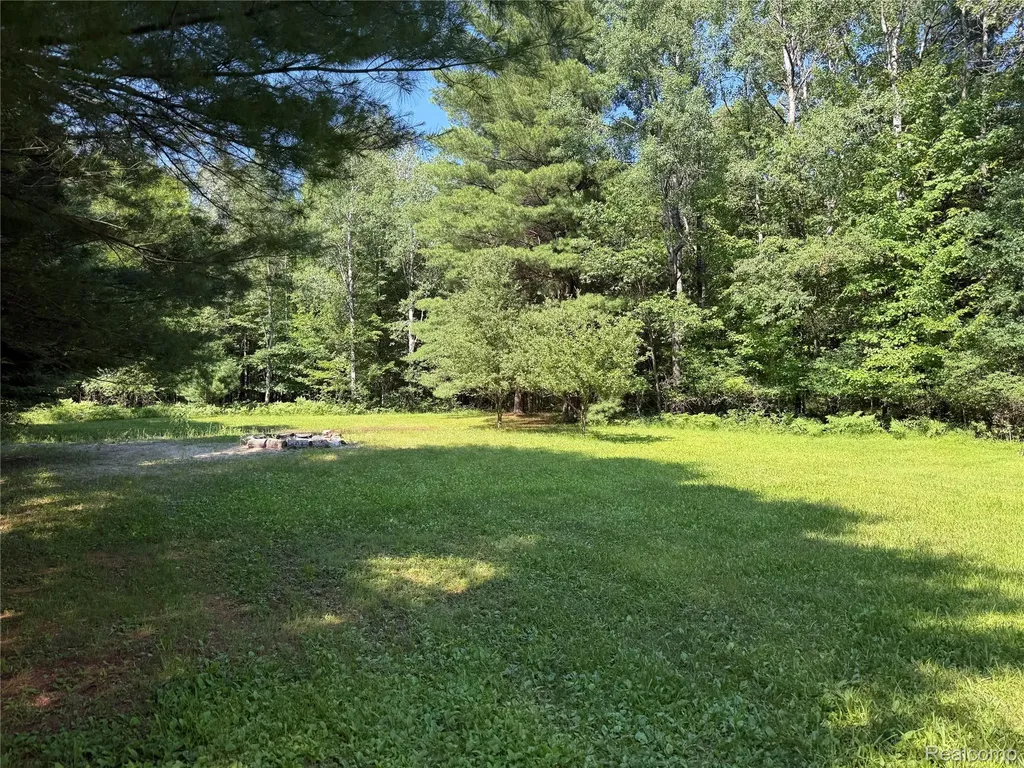1501 Michael Drive Mills Township MI 48610