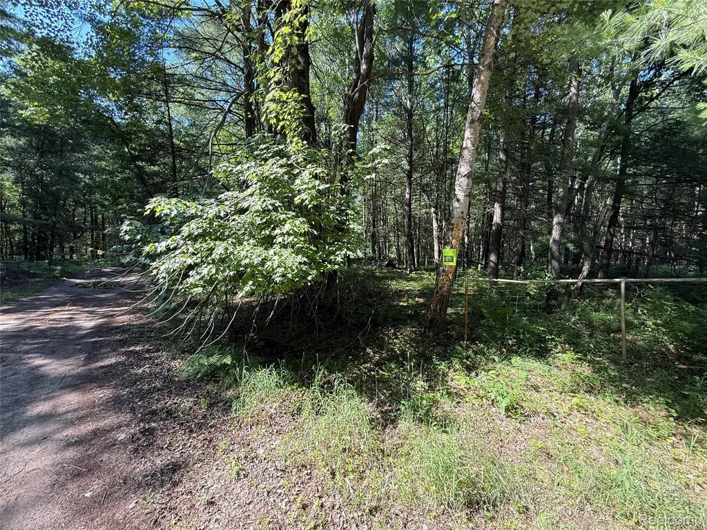 1501 Michael Drive Mills Township MI 48610