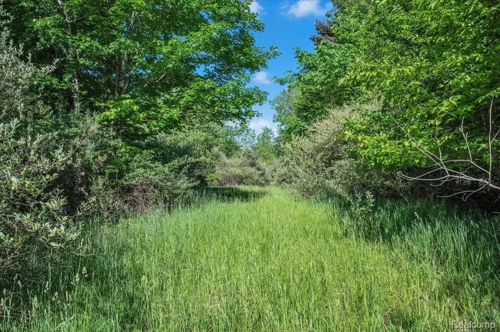 6250 Stine Road Goodland Township MI 48444