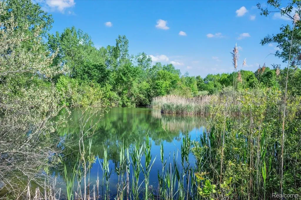 6250 Stine Road Goodland Township MI 48444