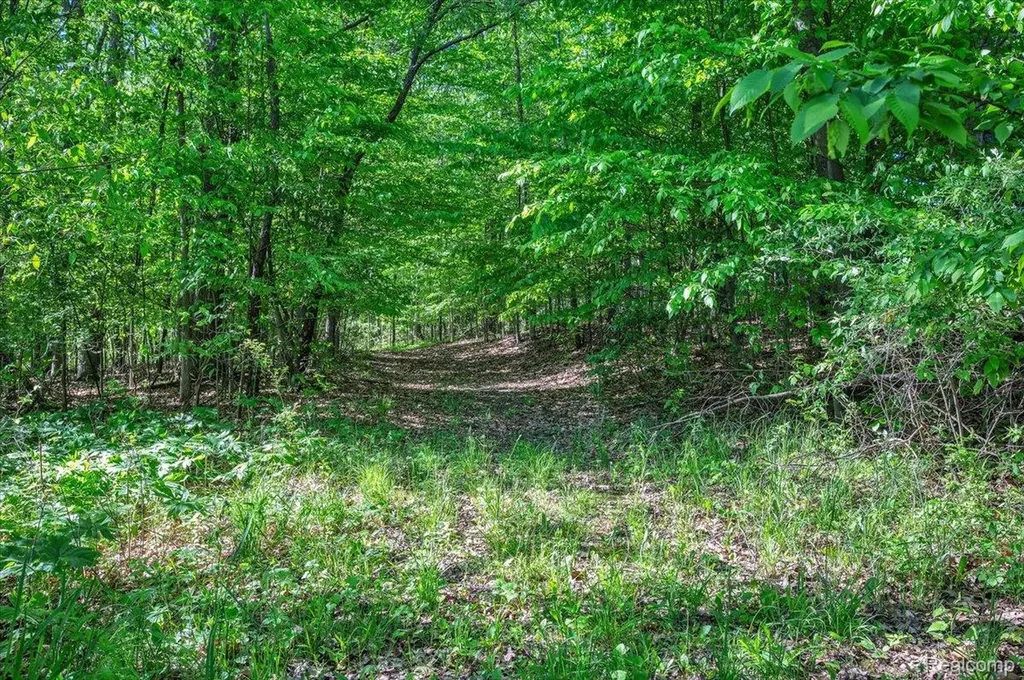 6250 Stine Road Goodland Township MI 48444