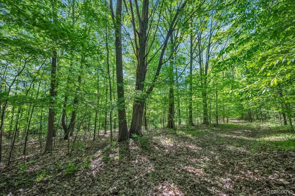 6250 Stine Road Goodland Township MI 48444