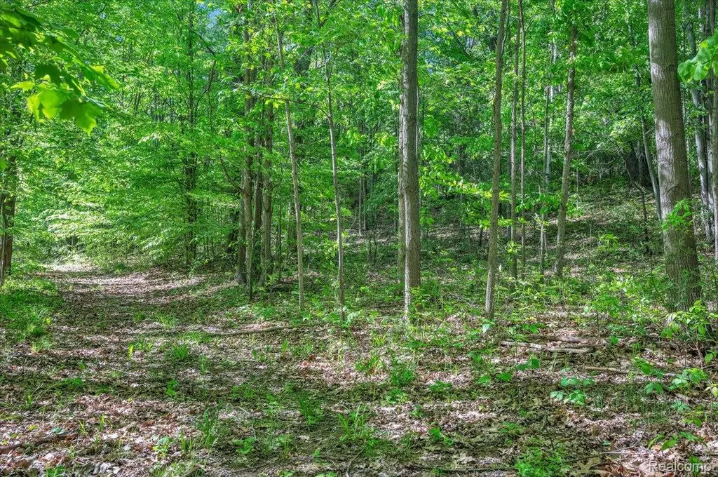 6250 Stine Road Goodland Township MI 48444