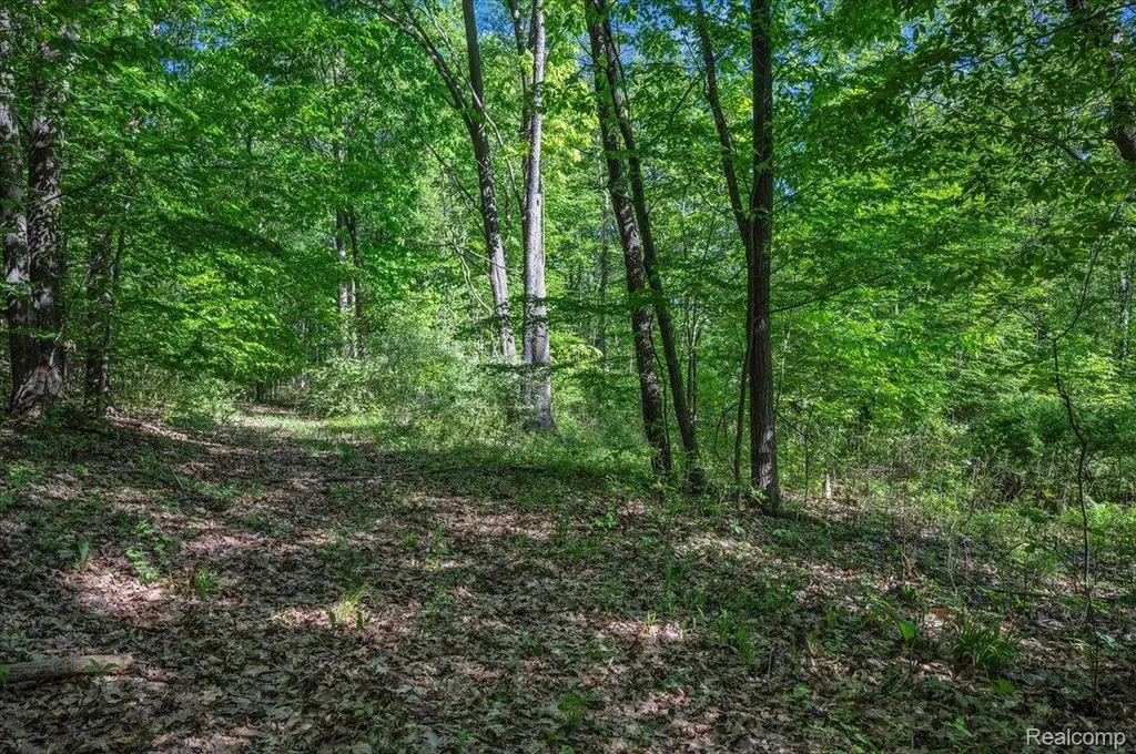 6250 Stine Road Goodland Township MI 48444
