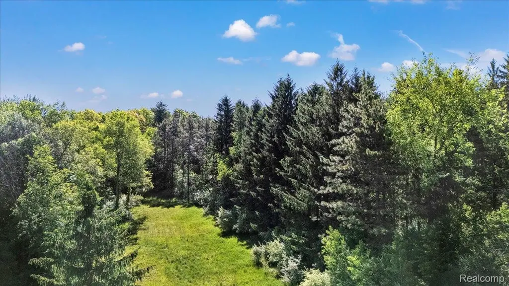 6250 Stine Road Goodland Township MI 48444