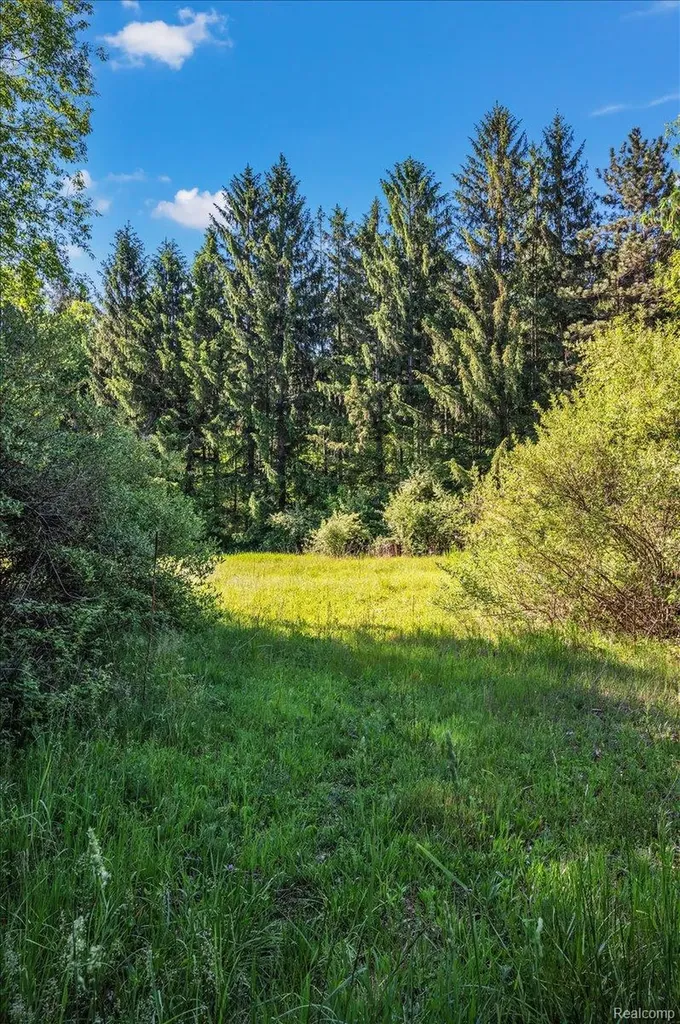 6250 Stine Road Goodland Township MI 48444