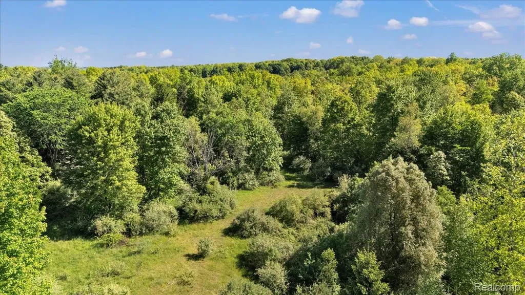 6250 Stine Road Goodland Township MI 48444