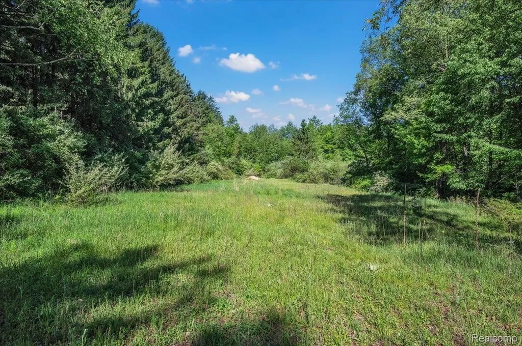 6250 Stine Road Goodland Township MI 48444