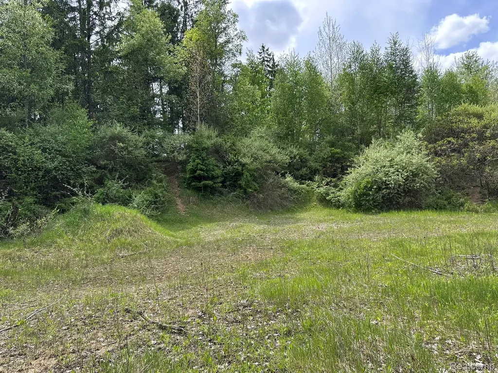 6250 Stine Road Goodland Township MI 48444