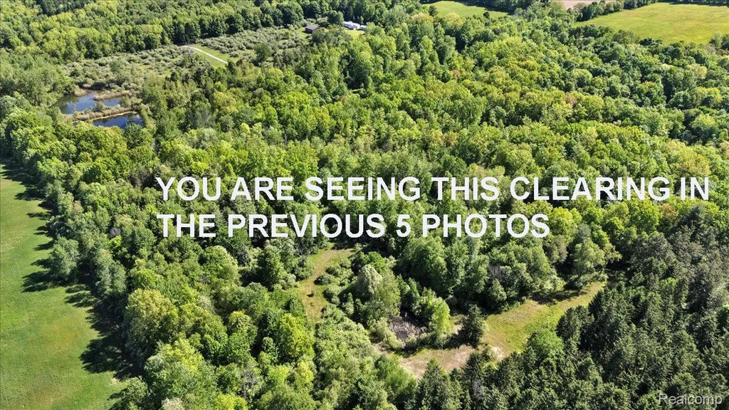 6250 Stine Road Goodland Township MI 48444