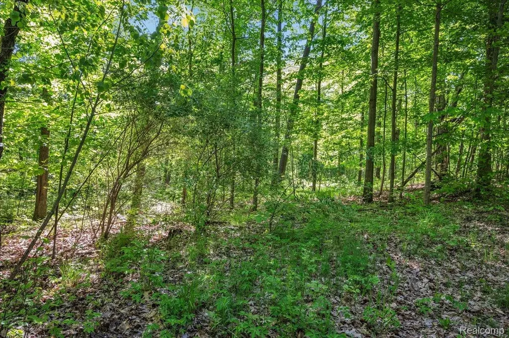 6250 Stine Road Goodland Township MI 48444