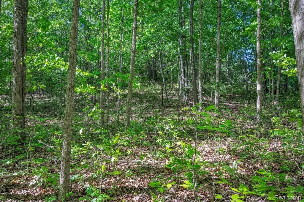 6250 Stine Road Goodland Township MI 48444