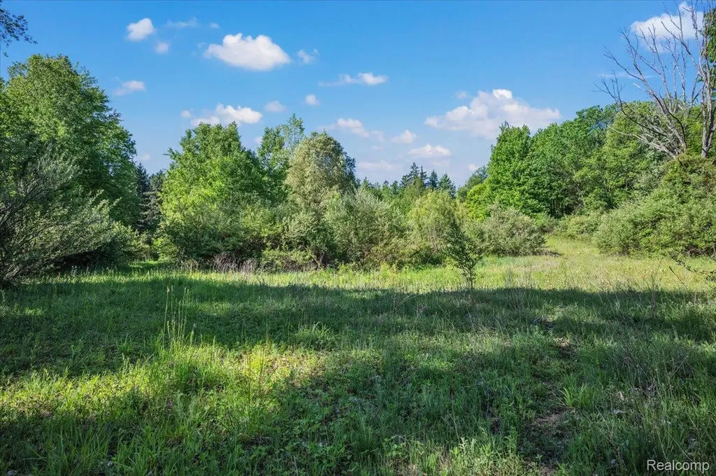 6250 Stine Road Goodland Township MI 48444